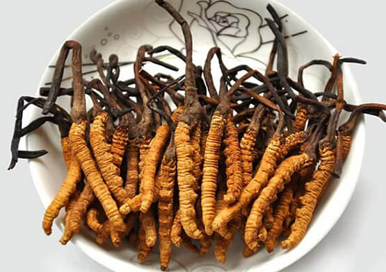 Đông Trùng Hạ Thảo Nguyên Con Tự Nhiên