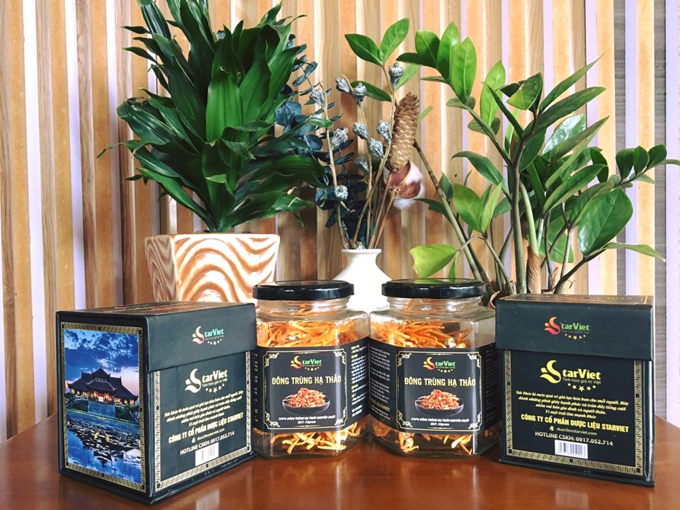 Đông Trùng Hạ Thảo Khô Sấy Thăng Hoa 15Gram